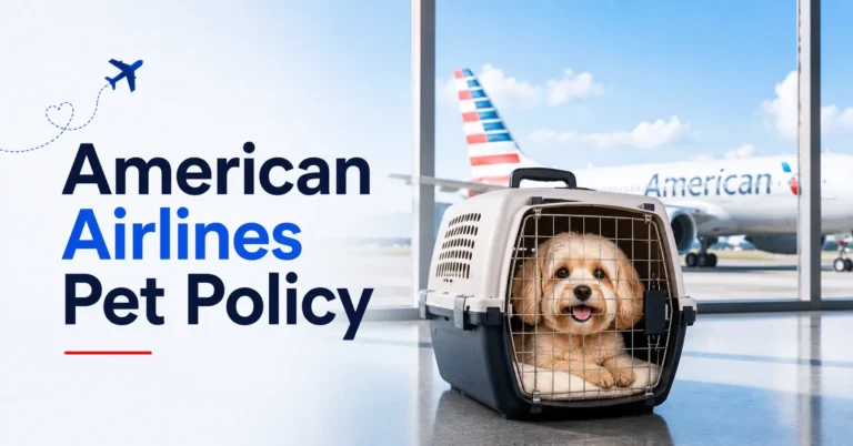 American Airlines pet policy